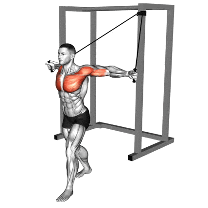 High cable chest fly, also known as high to low…